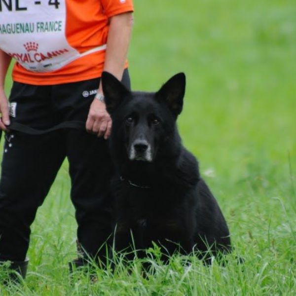 Hondenoppas Anne-Marie uit Oss