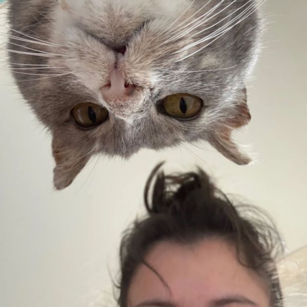 Kattenoppas Ezgi deren uit Waalwijk