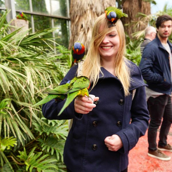 Huisdierenoppas Heather uit Breda