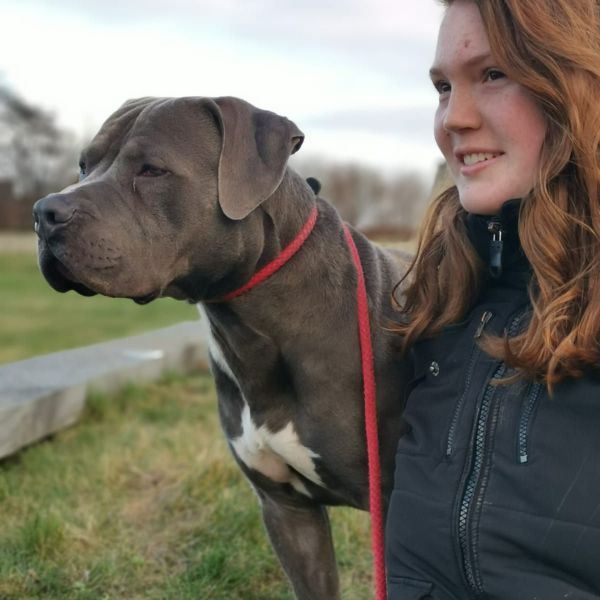 Huisdierenoppas Louisa uit Apeldoorn