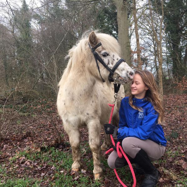 Huisdierenoppas Romy uit Winterswijk