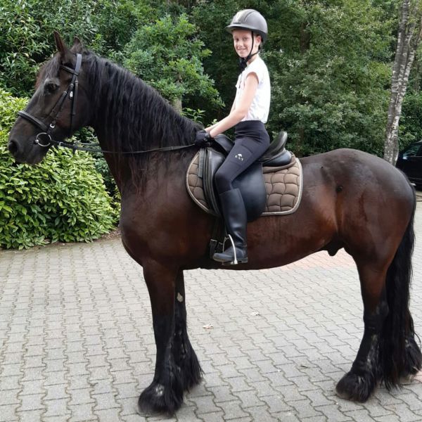 Huisdierenoppas Jolé uit Hasselt