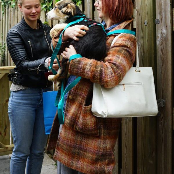 Millie uit Heemskerk zoekt een Hondenoppas