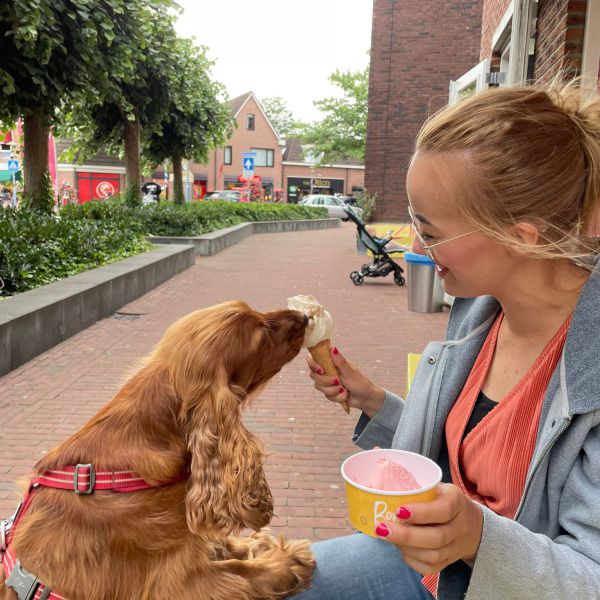 Hondenoppas Tessa uit Heelsum