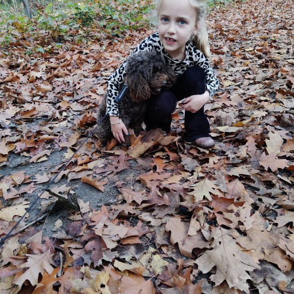 Huisdierenoppas Inge uit Goirle