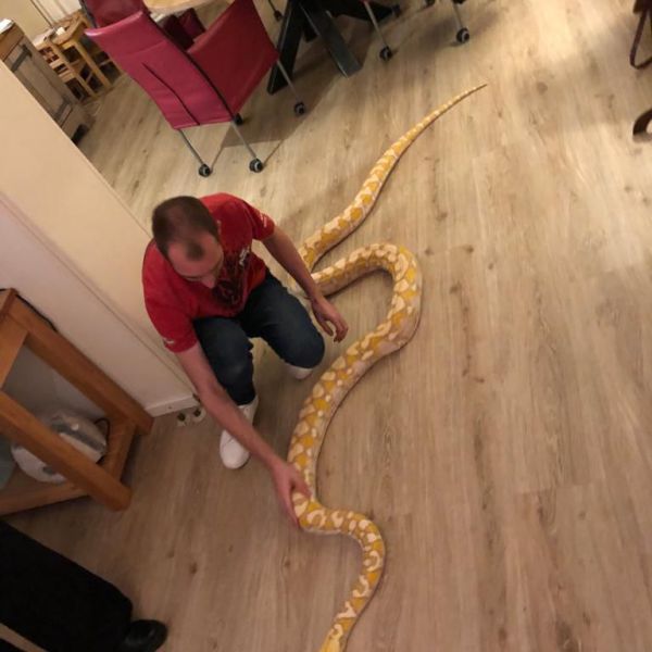 Huisdierenoppas Kylian uit Leeuwarden
