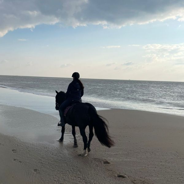 Huisdierenoppas Kelly uit Den Helder