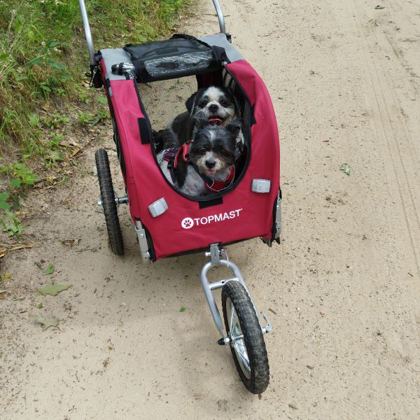 Teddy, Layla uit Ede, Gld zoekt een Hondenoppas