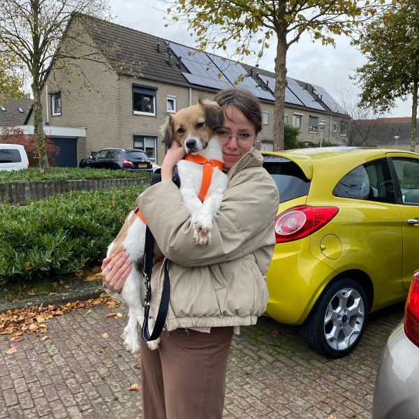 Huisdierenoppas Kim uit Zandvoort