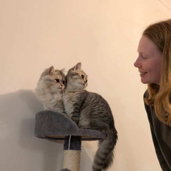Kattenoppas Sophie uit Nijmegen