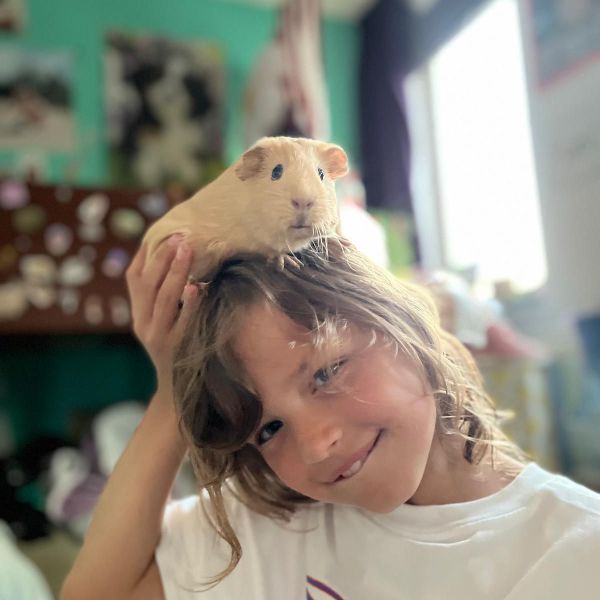 Coco & milo uit Amsterdam zoekt een Knaagdierenoppas