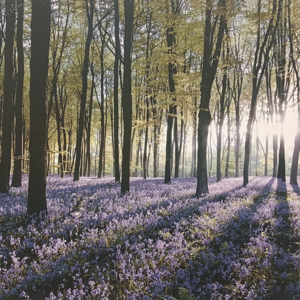 Huisdierenoppas Nicole uit Utrecht