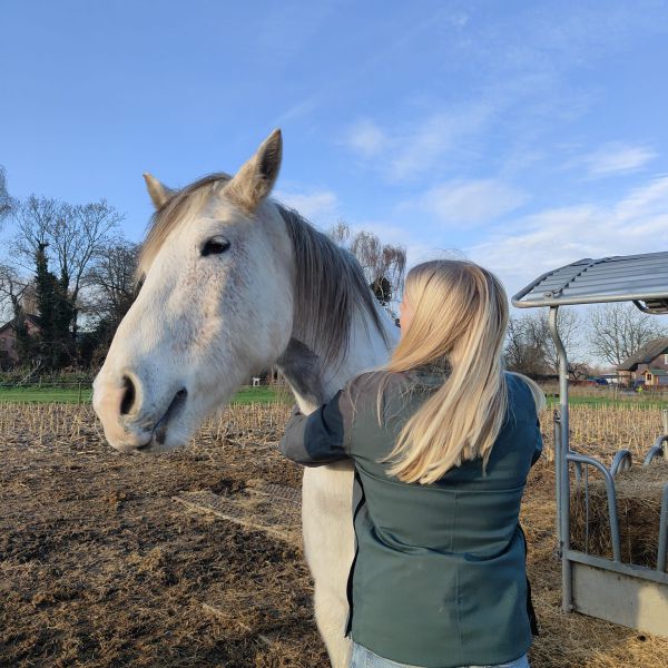 Huisdierenoppas N v S uit Deventer