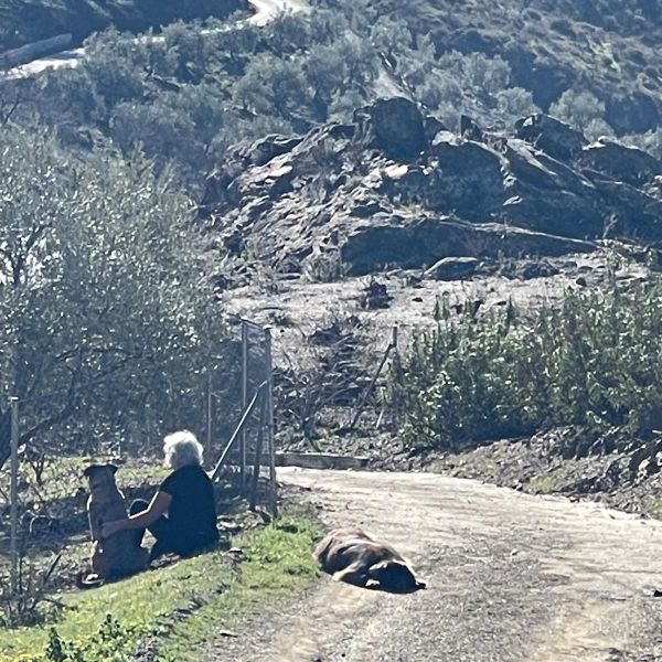 Hondenoppas Conny uit Beekbergen