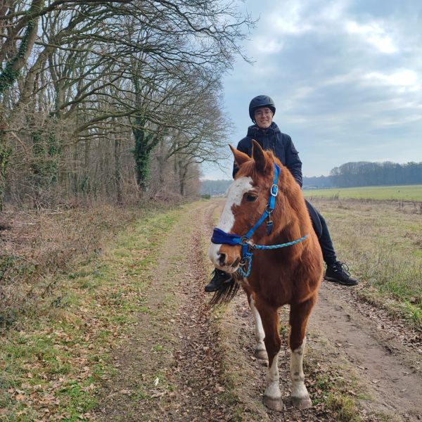 Huisdierenoppas Niek uit Nijmegen