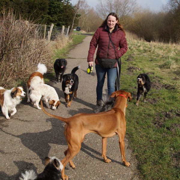 Huisdierenoppas Samarinda uit Nieuw-Vennep