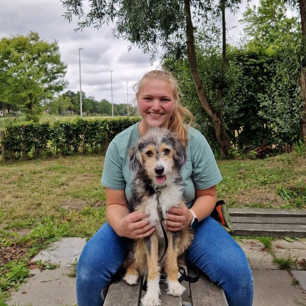 Ollie uit Heerhugowaard zoekt een Hondenoppas