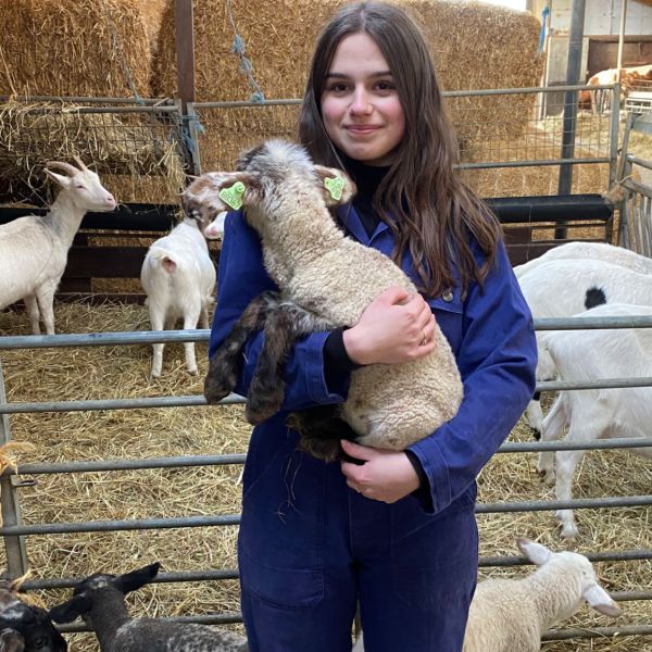 Huisdierenoppas Romy uit Rotterdam