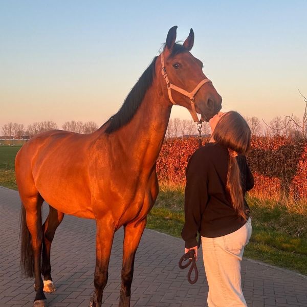 Huisdierenoppas Elin uit Etten-Leur