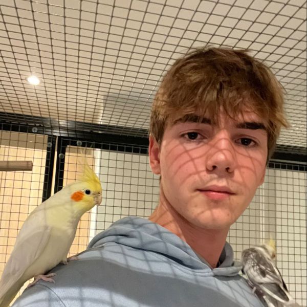 Huisdierenoppas Ky uit Odijk