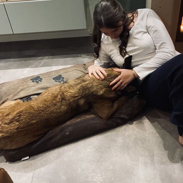 Huisdierenoppas esmee uit Steenwijk