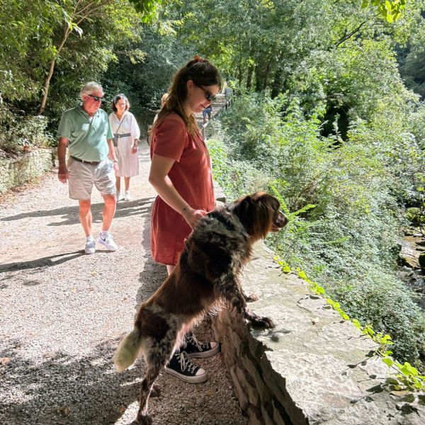 Hondenoppas Fay uit Utrecht