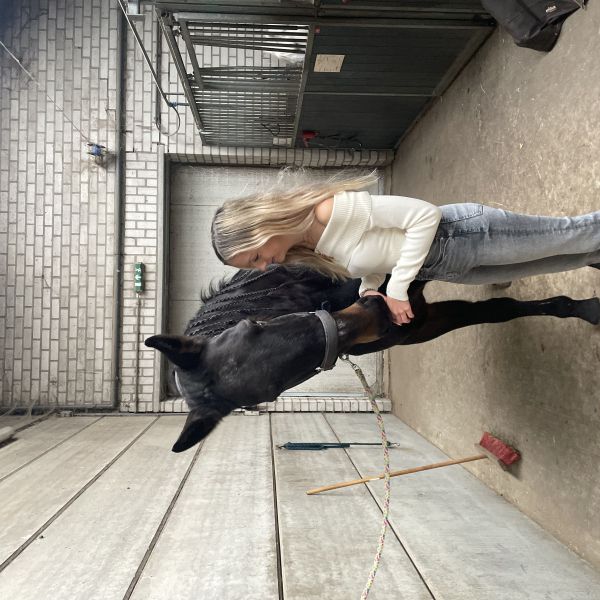 Huisdierenoppas Tyanna uit Oosterhout