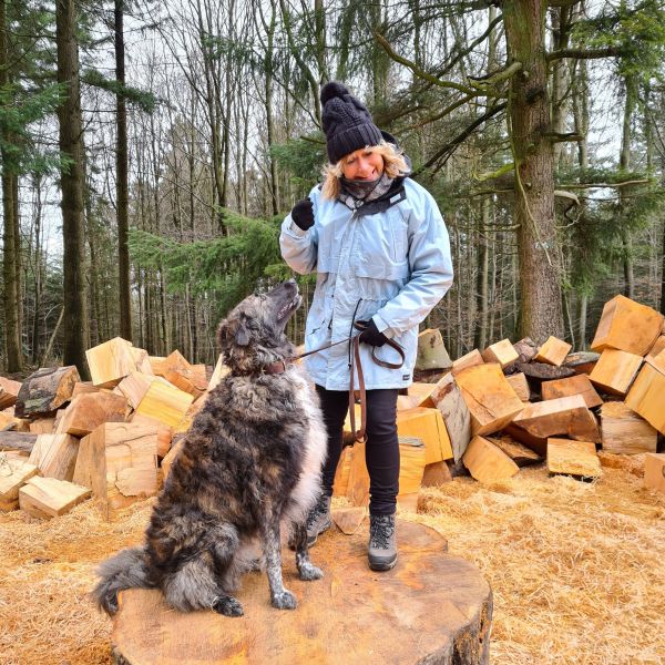 Luna uit Nuenen zoekt een Hondenoppas