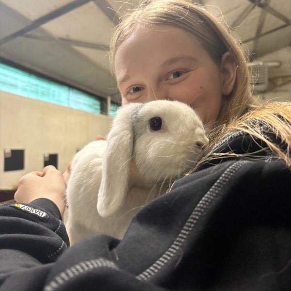 Huisdierenoppas Frauke uit Sint Jansteen