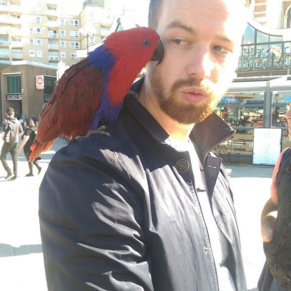 Vogeloppas Alexander uit Amsterdam