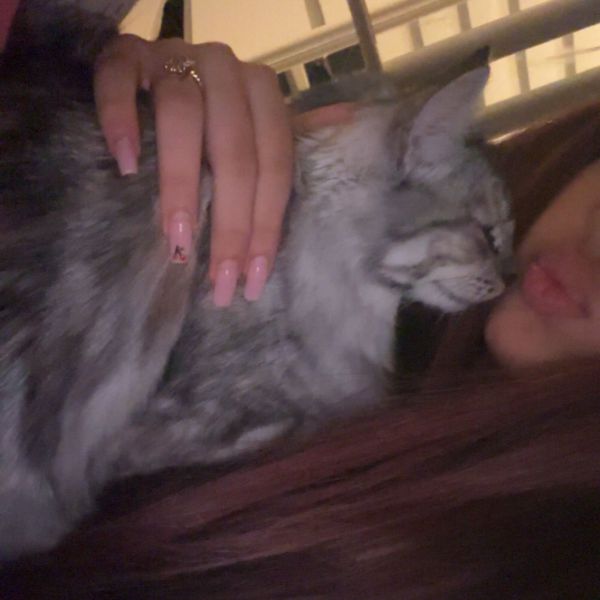 Huisdierenoppas lara uit 'S-Hertogenbosch