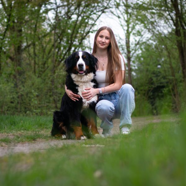 Huisdierenoppas Bo uit Eindhoven