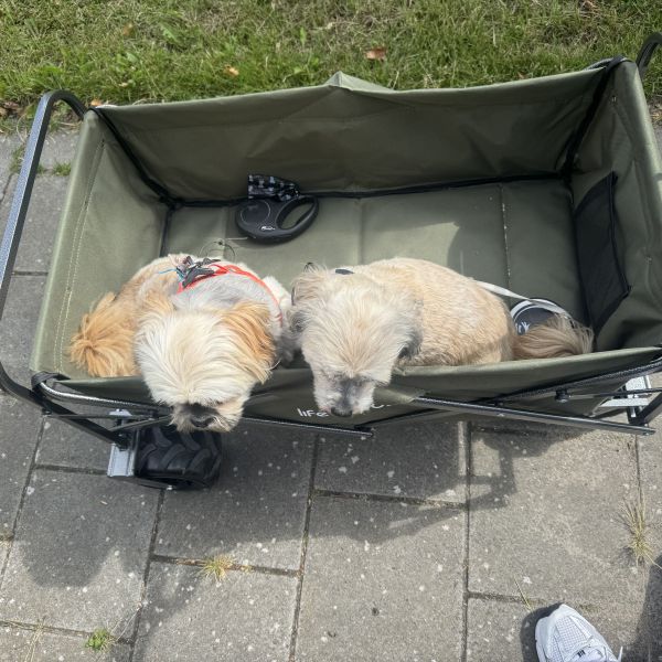 Huisdierenoppas Melissa uit Zwaag