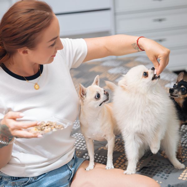 Hondenoppas Ina uit Voorburg