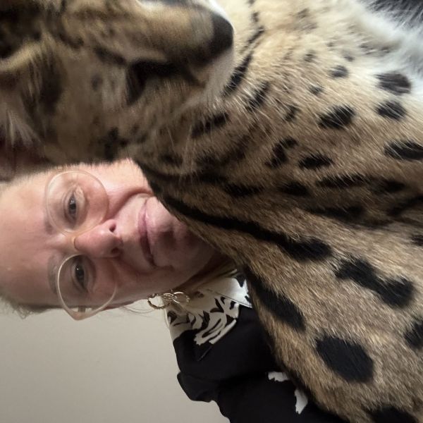 Gigi, Gabber, Happy uit Middenbeemster zoekt een Kattenoppas