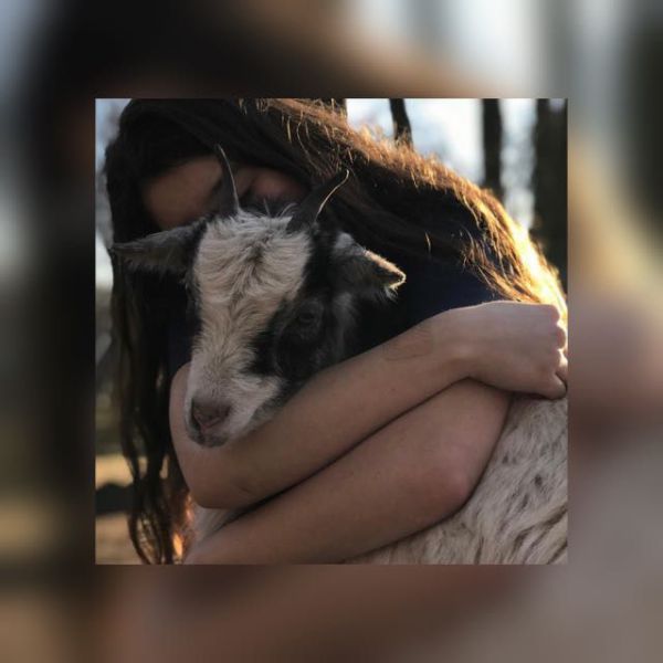 Huisdierenoppas Jessica uit Brunssum