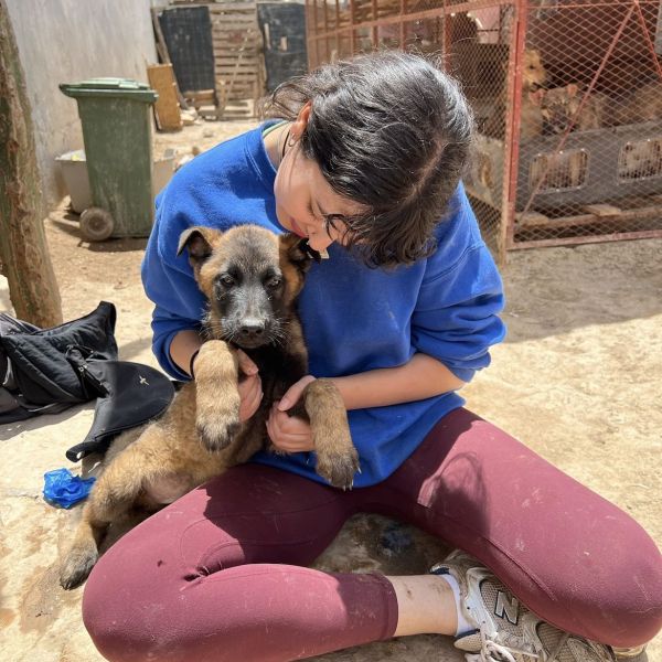 Huisdierenoppas Zainab uit Utrecht