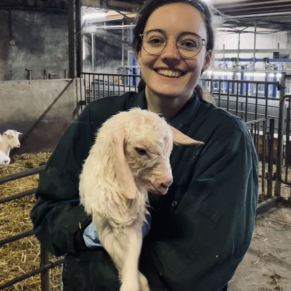 Huisdierenoppas Merel uit Utrecht