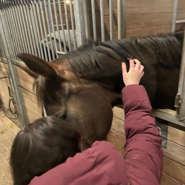 Huisdierenoppas Wilna uit Zwaag