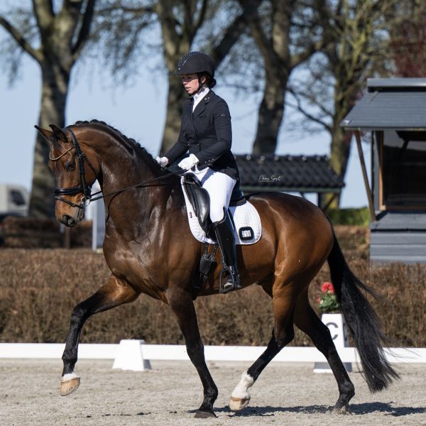 Huisdierenoppas Jacqueline uit Grave