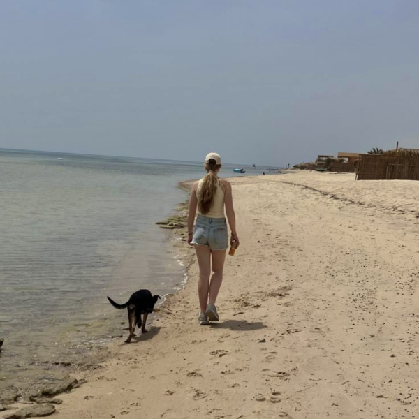 Huisdierenoppas Kayla uit Alblasserdam