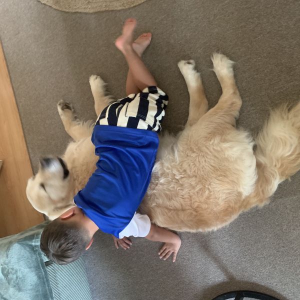Max uit Nieuwegein zoekt een Hondenoppas