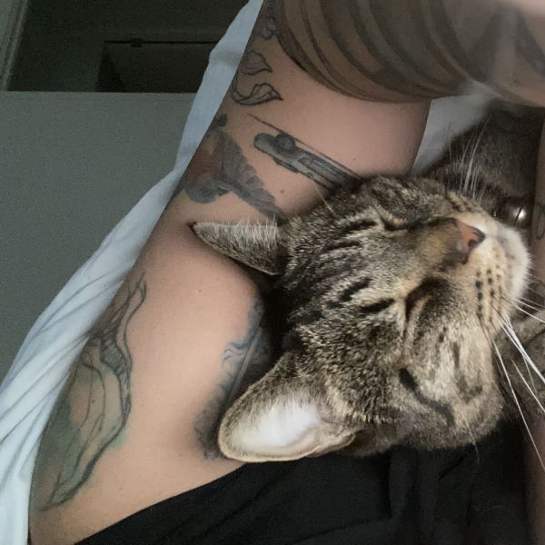 Mientje, Panda uit Wassenaar zoekt een Kattenoppas
