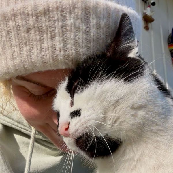 Kattenoppas Anne uit Den Haag