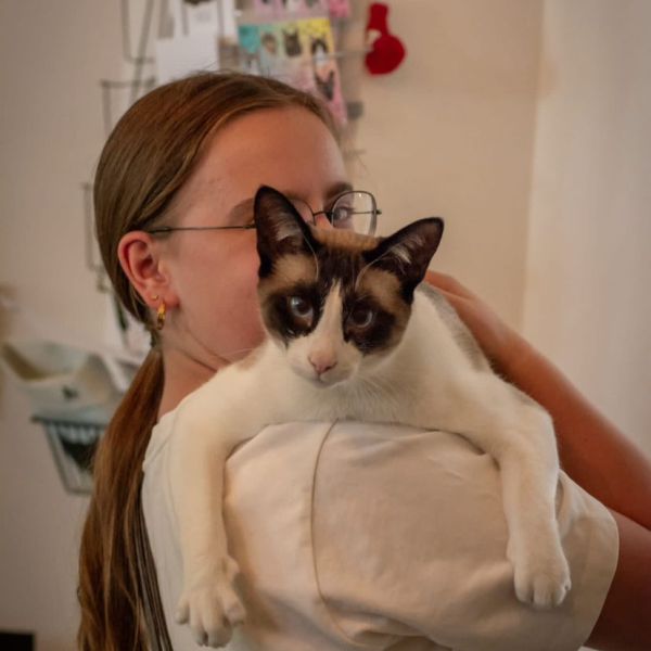 Kattenoppas Anne uit Breda