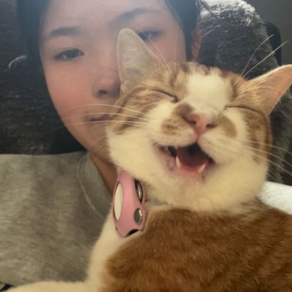 Huisdierenoppas Jia Li uit Amersfoort