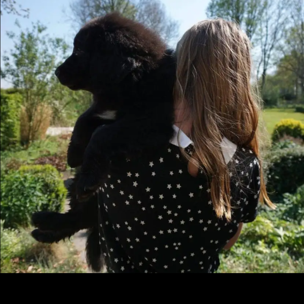 Huisdierenoppas Eva uit Peize