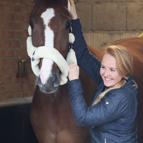 Icy, Coco, Beertje uit Herwijnen zoekt een Hondenoppas