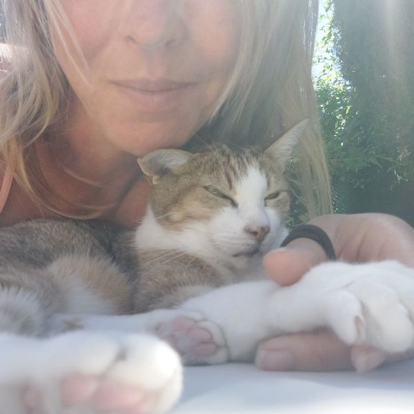 Twinkie uit Moordrecht zoekt een Kattenoppas