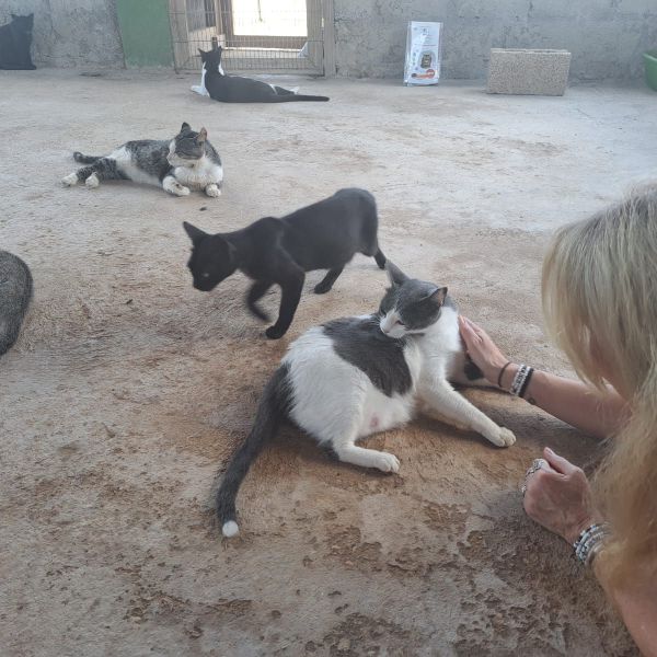 Huisdierenoppas Jacqueline uit Den Haag